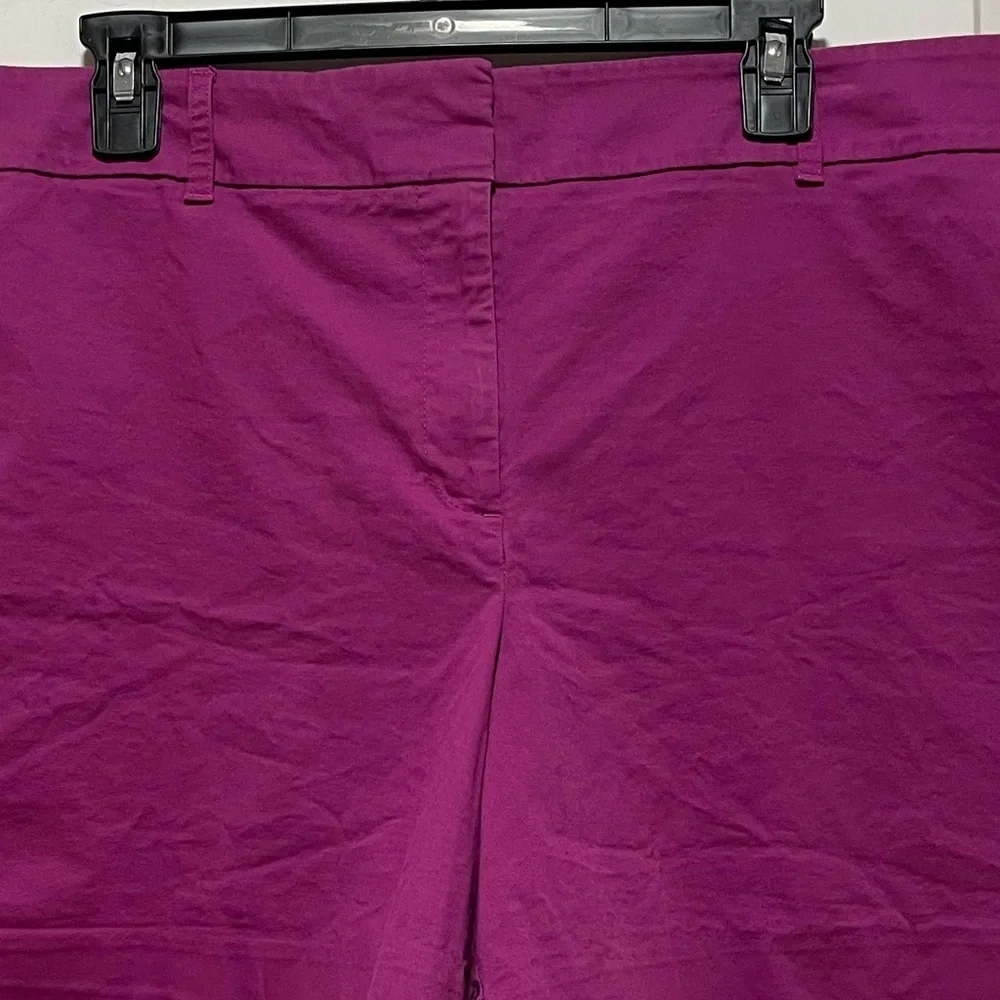 Vibrant Ann Taylor Womens Plus Size 18 Violet Purple Preppy Casual Chino Shorts - Picture 2 of 9